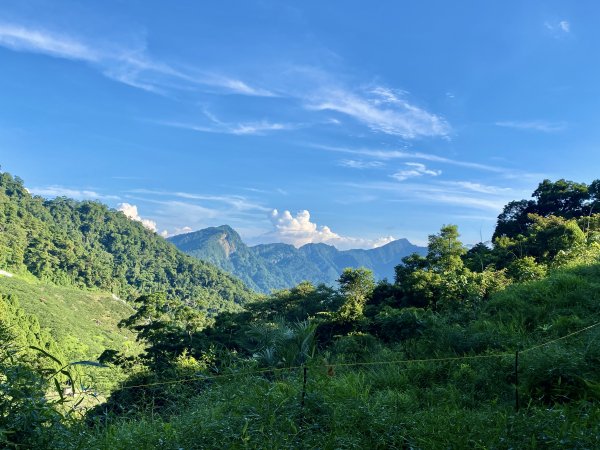 台中和平登觀音山東北峰.神谷山.遠藤山東峰.竹林.達觀山    2022/6/291749914