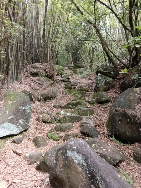 雙溪區三叉港+遠景古道+楊廷理古道+雞母嶺街O型2758661