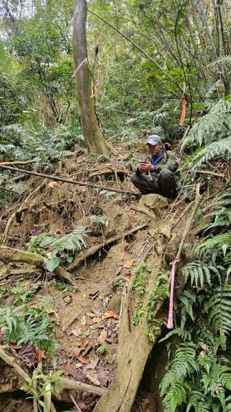 20260107竹東三山跟寶山十連峰2980136