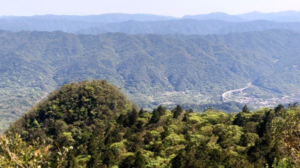 春天鮮綠的呢喃基隆荖寮坑古道上望古山登五分山O型2747333