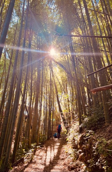 九穹神木 左訪嘉南雲峰 右到好望角看風景上石壁山(小百岳#55)2944824