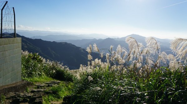 基隆山步道472426