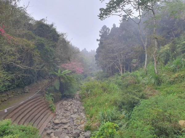 溪頭沿溪步道1297987