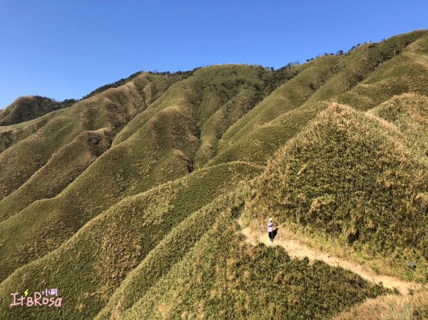 抹茶山聖母山莊  宜蘭2339937