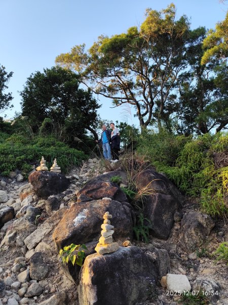 【臺北大縱走 5】碧山巖→忠勇山越嶺步道→金龍產業道路→圓明寺步道→鄭成功廟→潛園→格物台→劍潭古寺2959016