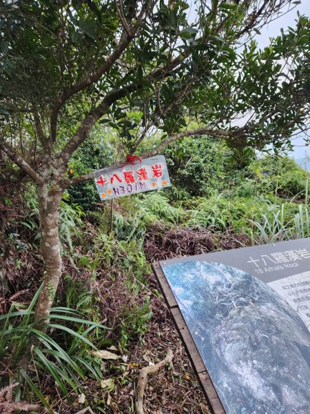 20241228 探索後花園2678333