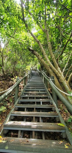 2024-06-15觀音山【福隆山、尖山(占山)登山步道】O走2528231