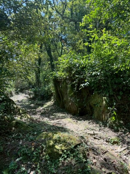 20250502 安坑七山2775104