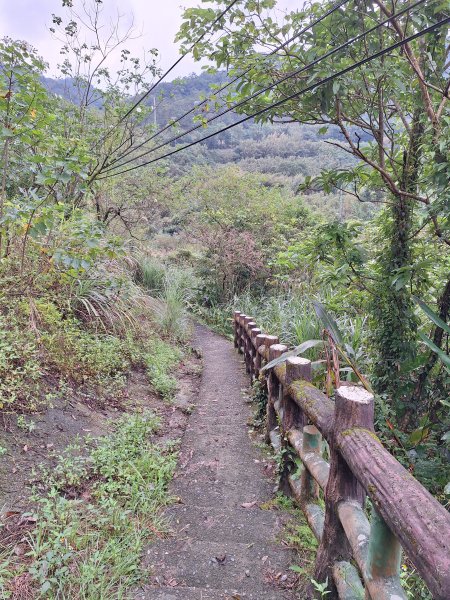 微笑山線：【五分山系】望古瀑布段+平溪小黃山段+慈恩嶺2932574
