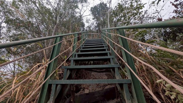 後尖山步道3008310