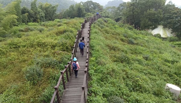 (姨婆趴趴走)第三十集:嘉義梅山太平雲梯、太平老街、太興岩茶園步道、龍王金殿2335386