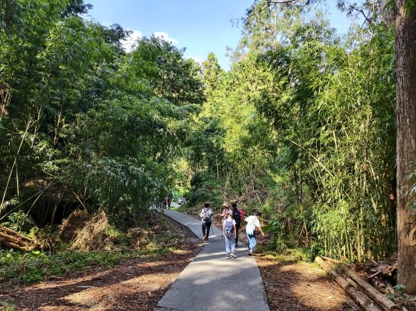[百山百鳥尋旅-05/15] 2025_0830 溪頭賞鳥步道_賞鳥步道2875029