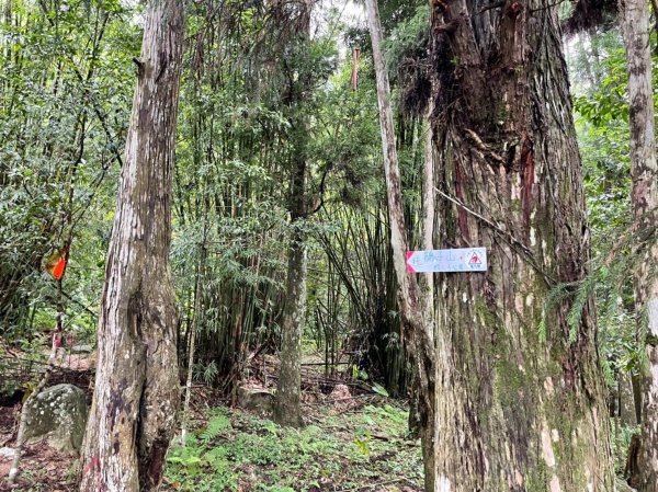 三角崙山五路會師1902878