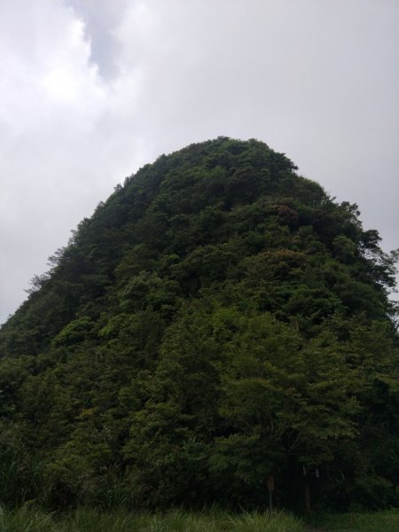 獅仔頭山—古道 O 型路線1360512