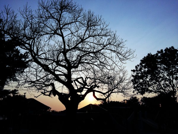 淡水小鎮｜夕陽暮色654012