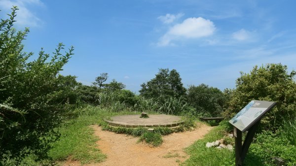 三角蜻蜓3076538