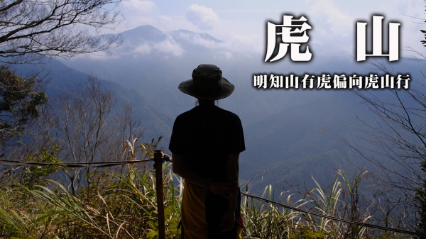 【虎山】明知山有虎偏向虎山行 | 苗栗泰安水雲三星之首 | 中級山的大霸尖山