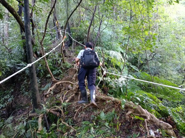 雙溪區雙坪一號橋+盤山坑山+土地公山+474峰+石硿子越嶺古道O型2936392