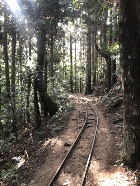 大坪林道 加里山 杜鵑嶺 環線1201447