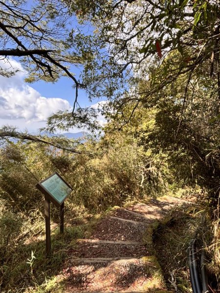 20260212回嘉遊的大塔山2999908