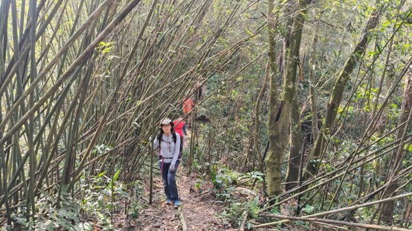 雙石大O繞縱走1150222 年初六3004541