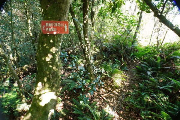 新竹 尖石 貴妃山、那結山2913609