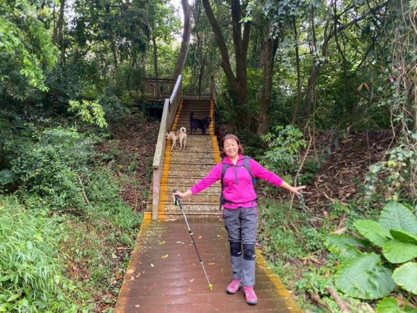 田中森林公園步道、赤水崎公園步道、花牆、龍過脈古蹟2750900