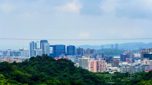 點亮初夏的綠光3085883