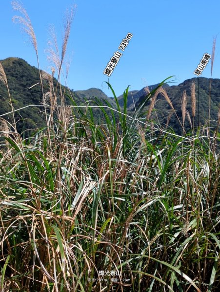 113.02.11牡丹山-燦光寮山-半屏山之旅2450807