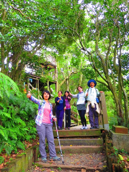 台北小溪頭環狀步道、翠山步道、大崙尾山426108