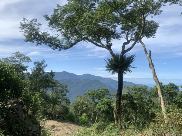 20250531屏東虻彈山東峰2803173