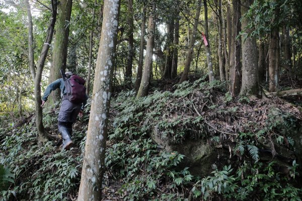 新竹尖石鄉 小錦屏溫泉上錦屏山下高島逆走O1650560