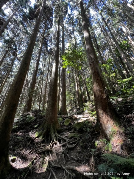 加里山好精彩2547351