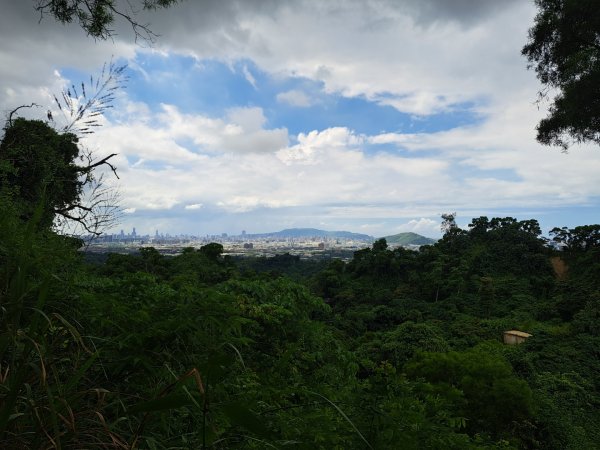 高雄觀音山步道3124210