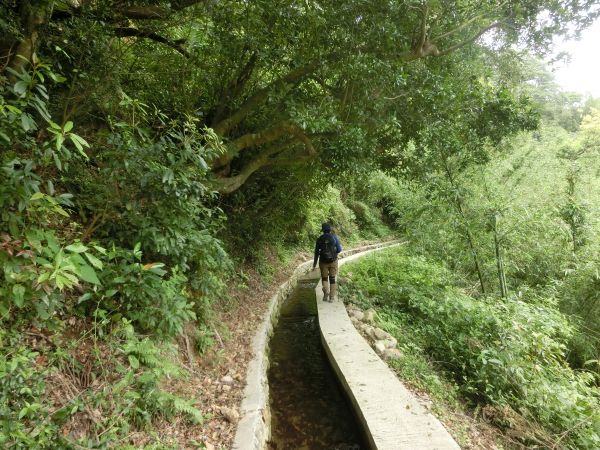 橫嶺古道．半嶺水圳步道115939