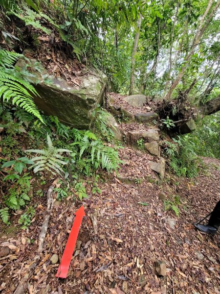 福巴越嶺國家步道2364479