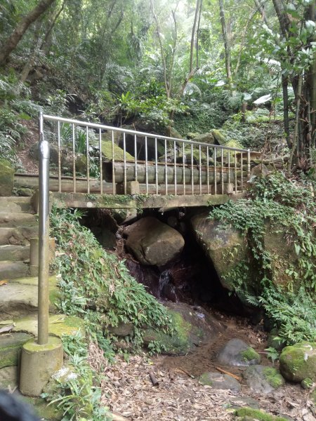 三峽鳶山+鳶山彩壁+五十分山(茅埔路起登)1876723