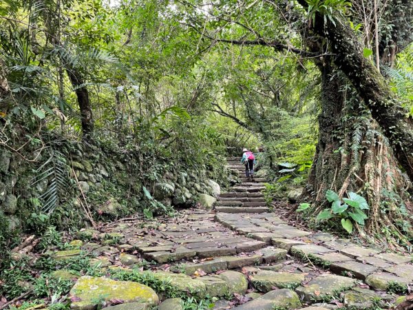 草嶺古道1726627
