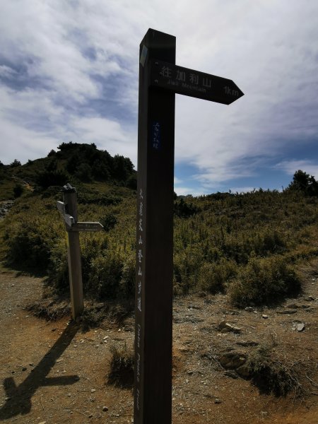 一日大霸群峰之高山杜鵑看好看滿 ( 大霸尖山、小霸尖山、伊澤山、加利山 )- 2021/5/21374762