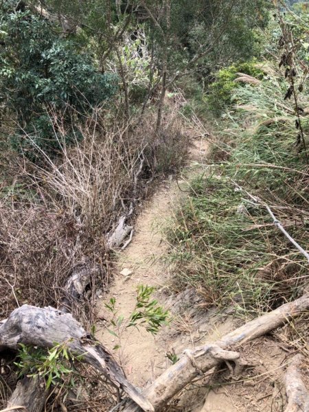 烏山步道北段入口雲山寺走刣牛湖山往返508043