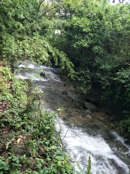 華山步道群(文學步道、1號步道)202105051414619