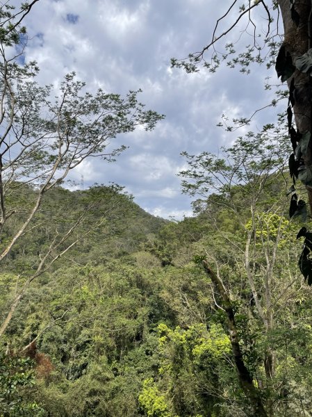 鱷魚頭景觀步道2729218