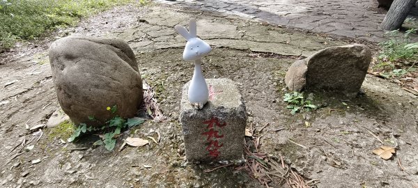 2026/01/25-五酒桶山、山鼻山步道2988092