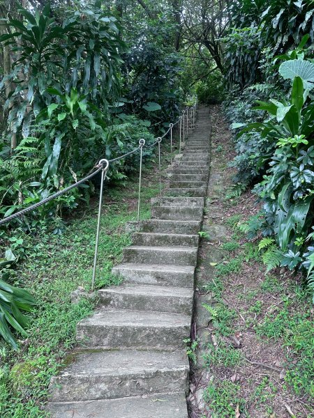 大棟山系第一段、第二段一起走2857253