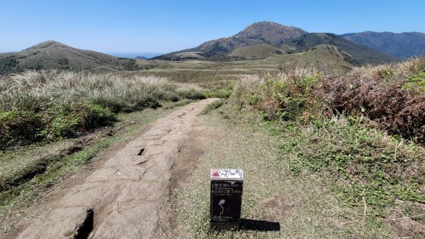 風櫃口頂山石梯嶺擎天崗2056591