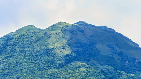 內雙溪自然中心2808689