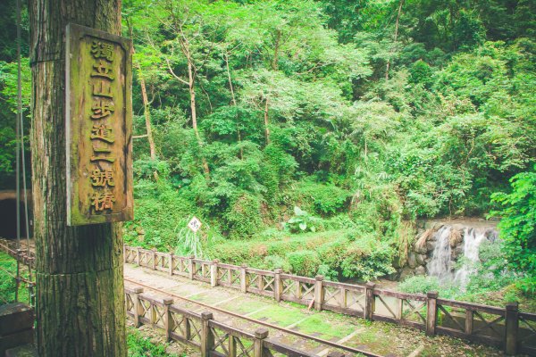 20170806-[嘉義] 獨立山步道1862337