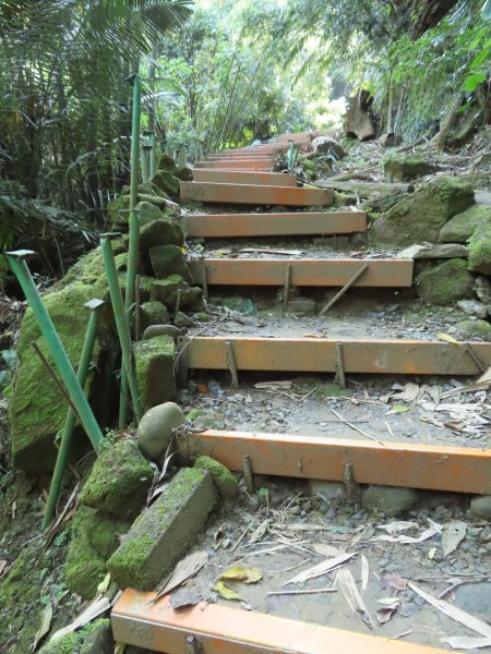 豐原三崁頂健康步道3上2下O形2696137