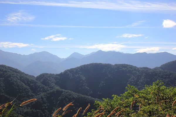 櫻花公園→藤枝山來回275299