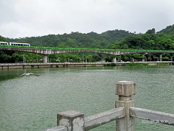 大湖公園【走路趣尋寶】2233869